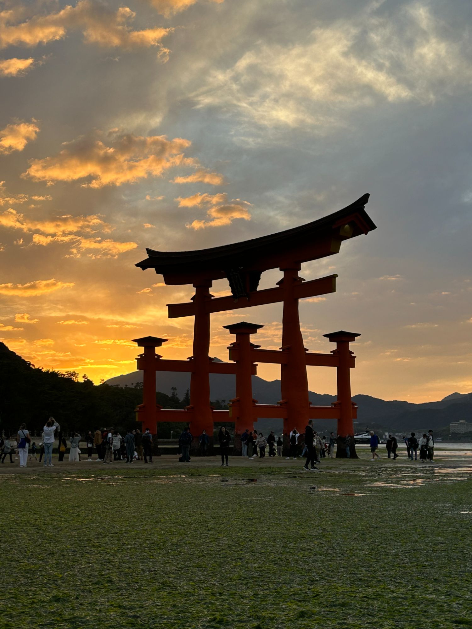 Le grand torii de Miyajima au coucher du soleil, île d'Itsukushima près de Hiroshima