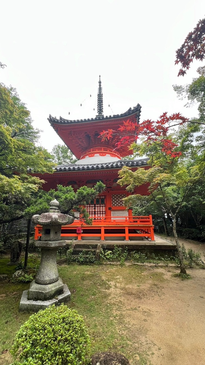La pagode rouge à trois étages du temple Mitaki-dera, entourée d'érables aux couleurs d'automne et d'une lanterne de pierre
